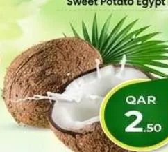 Coconut, QAR 2.50 at Mark and Save
