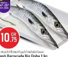 Fresh Barracuda Big Doha, QAR 10.75 at Safari Hypermarket