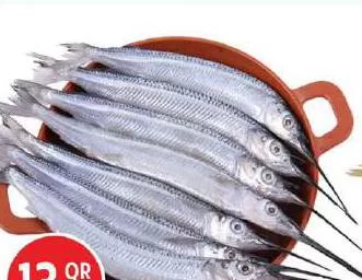 Fresh Needle Fish (Kolan) KSA, QAR 13.75 at Safari Hypermarket