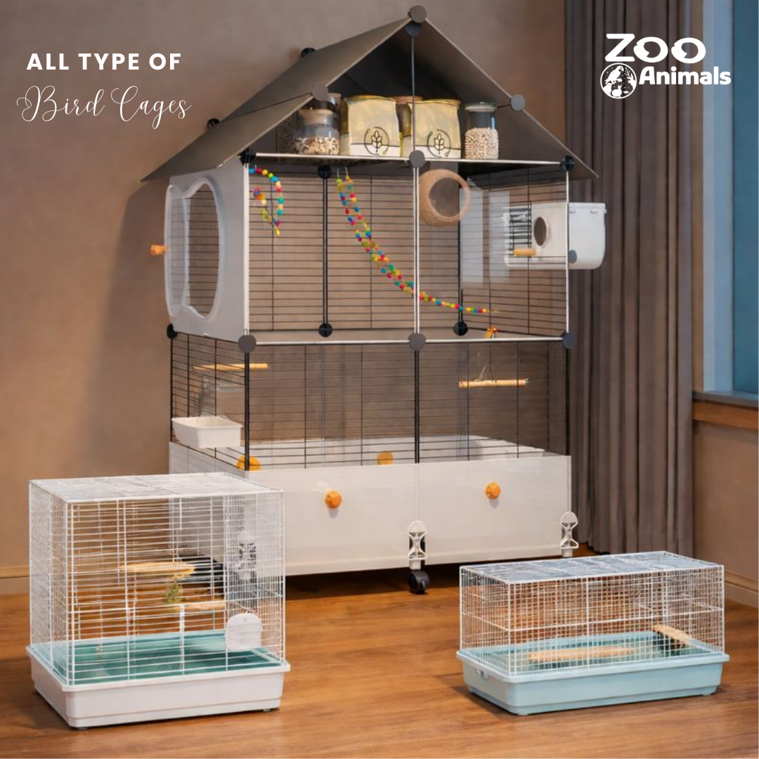 Zoo Animals offers a variety of pet supplies, accessories, and food for common household pets in Old Airport Road - image 5