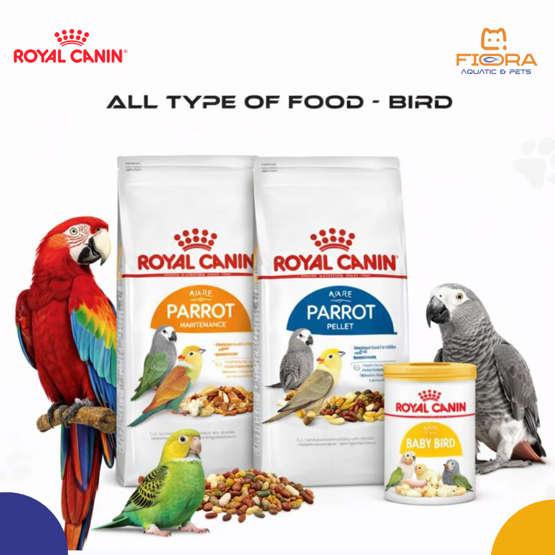 Fiora Aquatic & Pets is a well-regarded pet and aquarium retailer in Al Matar Doha - image 5