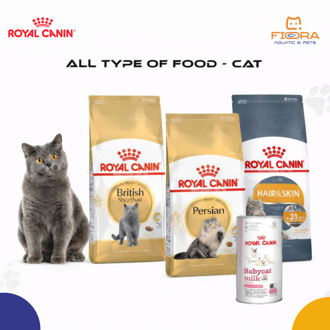 Fiora Aquatic & Pets is a well-regarded pet and aquarium retailer in Al Matar Doha - image 4