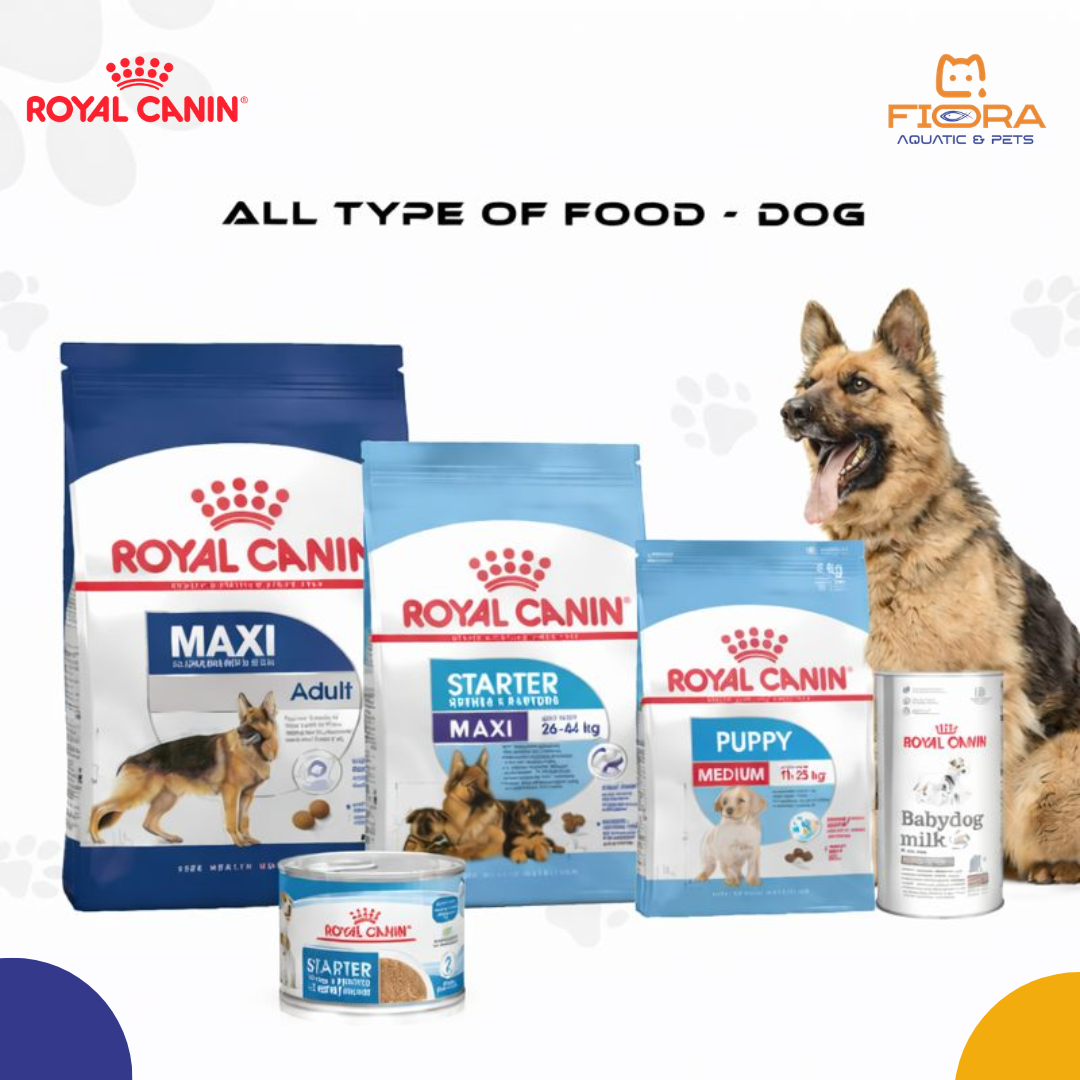 Fiora Aquatic & Pets is a well-regarded pet and aquarium retailer in Al Matar Doha - image 3