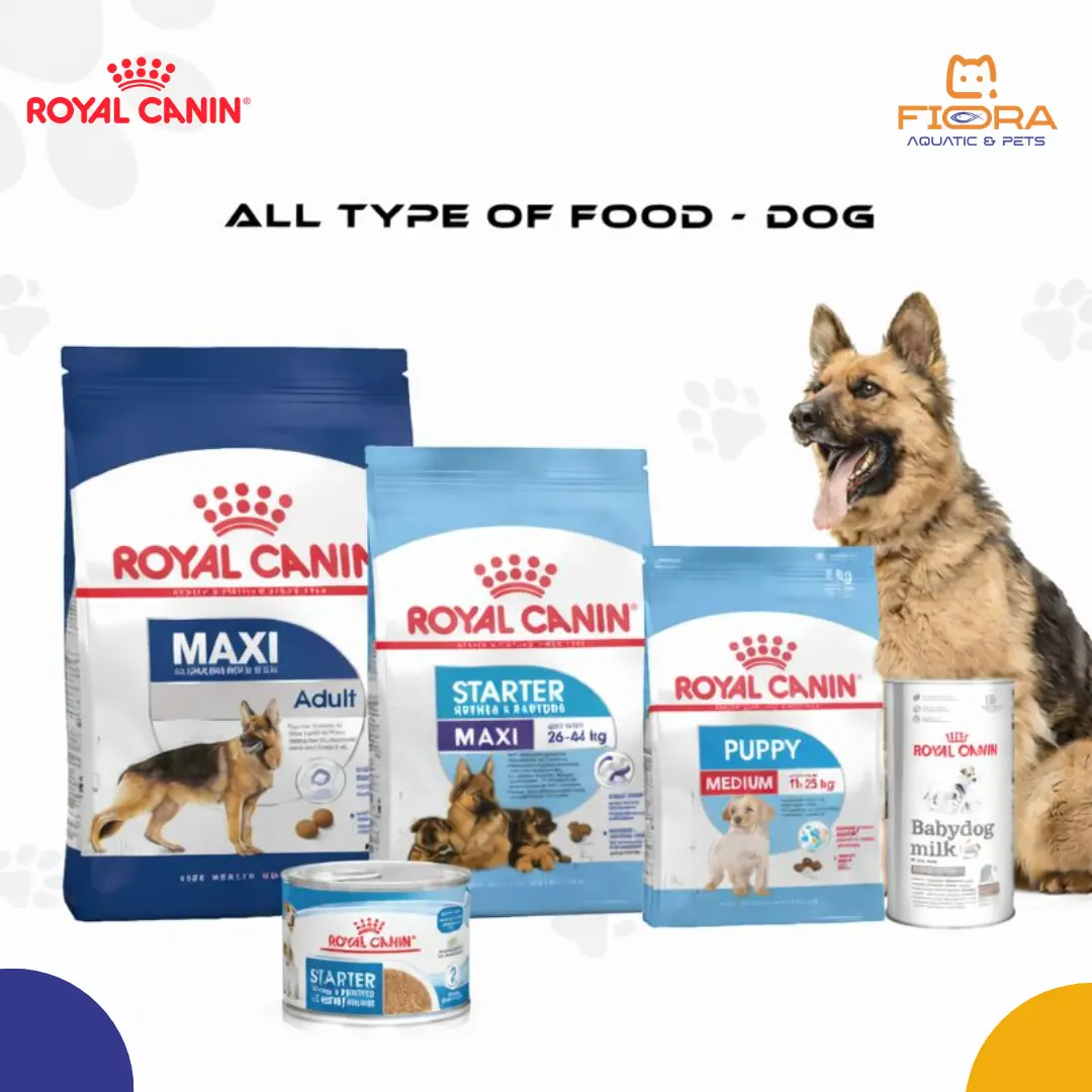 Fiora Aquatic & Pets, Al Matar, Doha image 3