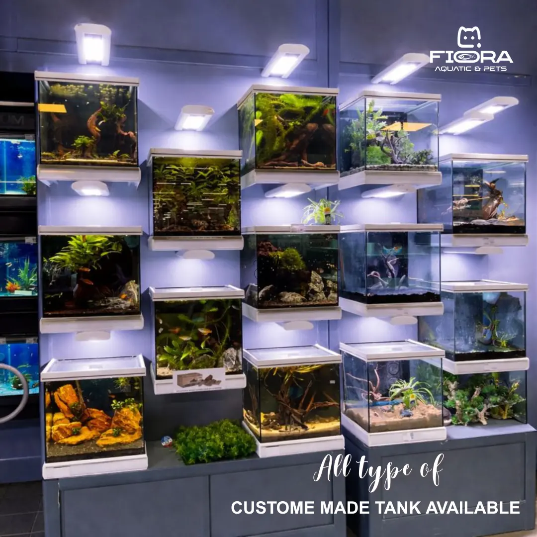 Fiora Aquatic & Pets, Al Matar, Doha image 2