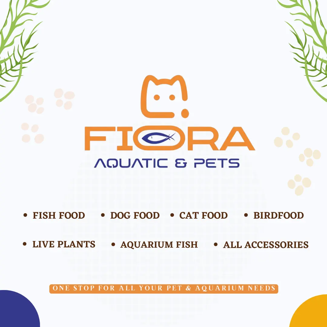 Fiora Aquatic & Pets, Al Matar, Doha deal in Doha
