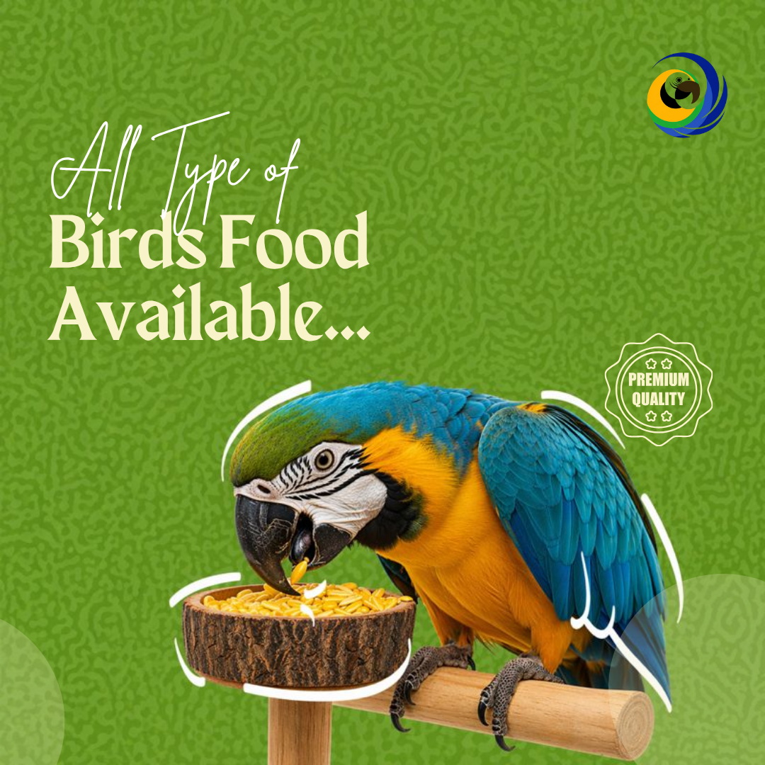Kingdom of Birds is a well-known pet store chain in Qatar that specialises in exotic birds, ornamental fish, and high-quality pet supplies - image 2