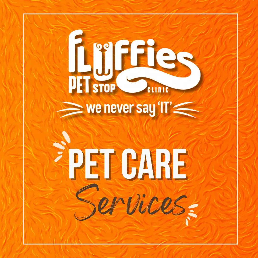 Fluffies Pet Stop Clinic